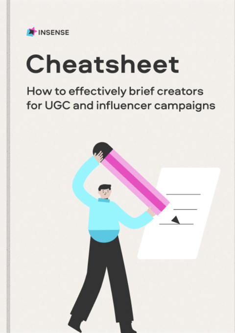 brief for UGC campaigns